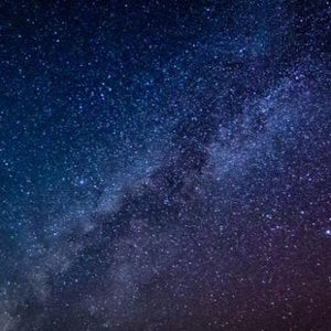 Meet your Posher, Rayna